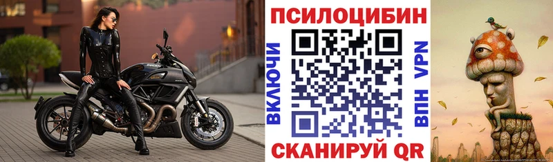 цены   Гурьевск  МЕГА   Псилоцибиновые грибы Psilocybine cubensis 